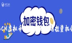 BCM虚拟币：全方位解析与
