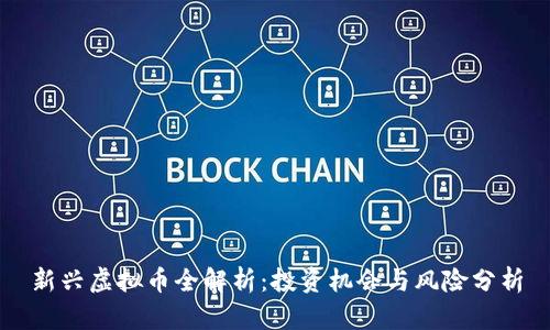 新兴虚拟币全解析：投资机会与风险分析
