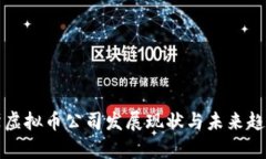 俄罗斯虚拟币公司发展现