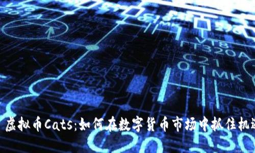 : 虚拟币Cats：如何在数字货币市场中抓住机遇
