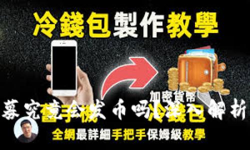: 虚拟币私募究竟会发币吗？深入解析及投资风险