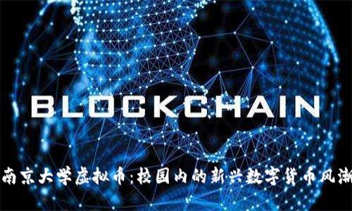南京大学虚拟币：校园内的新兴数字货币风潮