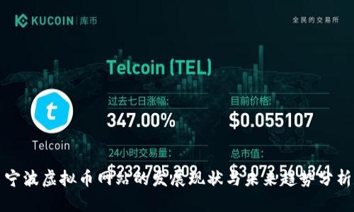 宁波虚拟币网站的发展现状与未来趋势分析
