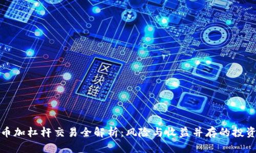虚拟币加杠杆交易全解析：风险与收益并存的投资机会