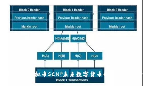 深入解析虚拟币SCN：未来数字货币的潜力与风险