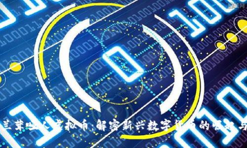 张若兰茸哑人虚拟币：解密新兴数字货币的崛起与挑战