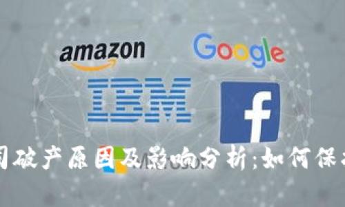 虚拟币公司破产原因及影响分析：如何保护你的投资
