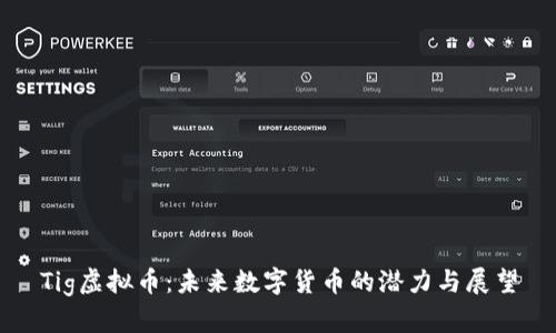 Tig虚拟币：未来数字货币的潜力与展望