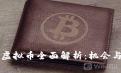 印度虚拟币全面解析：机