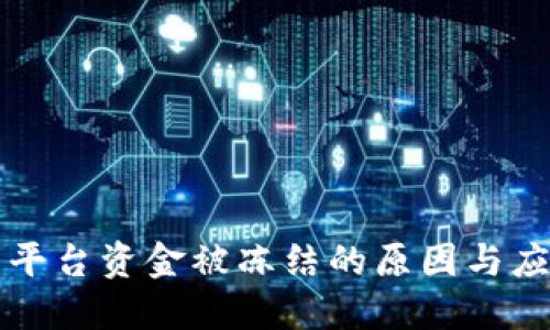 虚拟币平台资金被冻结的原因与应对策略