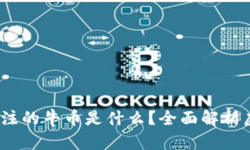 2023年最受关注的牛币是什么？全面解析虚拟币市场趋势
