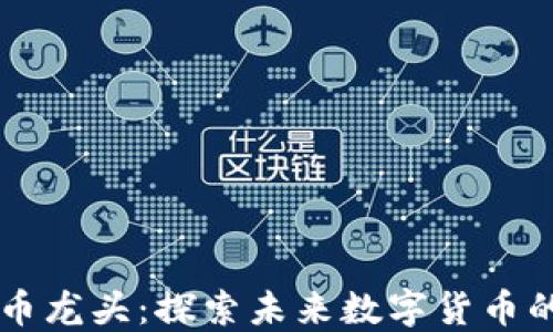 
香港虚拟币龙头：探索未来数字货币的先锋力量