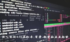 深入分析BIC虚拟币：背景