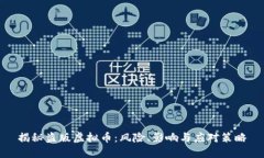 揭秘盗版虚拟币：风险、