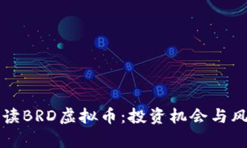全面解读BRD虚拟币：投资机会与风险分析
