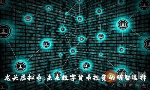 龙头虚拟币：未来数字货币投资的明智选择