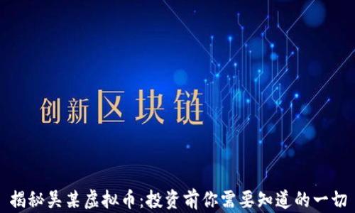 
揭秘吴某虚拟币：投资前你需要知道的一切