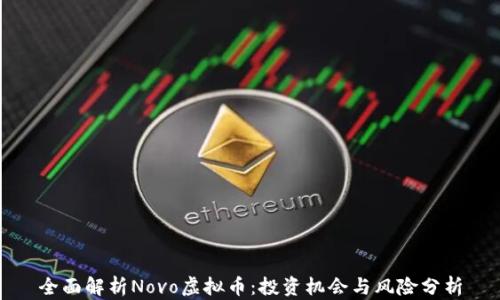 
全面解析Novo虚拟币：投资机会与风险分析