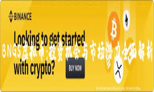 BNGS虚拟币：投资机会与市场潜力全面解析