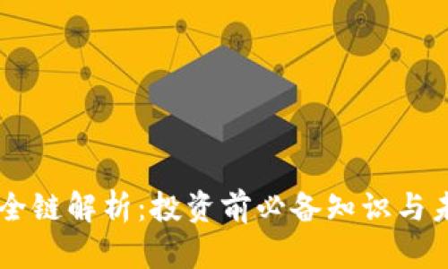 虚拟币全链解析：投资前必备知识与未来展望