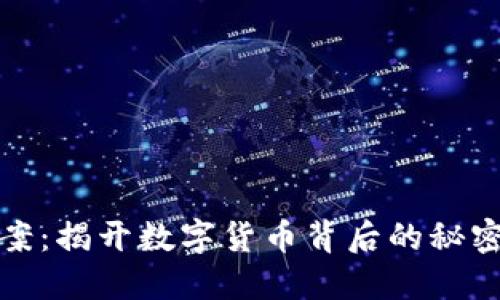 虚拟币案：揭开数字货币背后的秘密与风险
