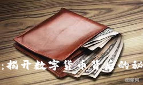 虚拟币案：揭开数字货币背后的秘密与风险