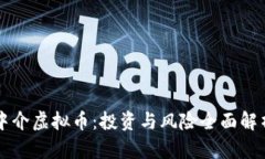 中介虚拟币：投资与风险