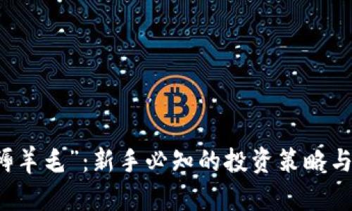 虚拟币“褥羊毛”：新手必知的投资策略与风险分析