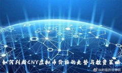 如何判断CNY虚拟币价格的