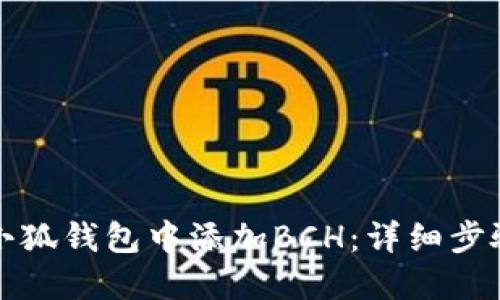 如何在小狐钱包中添加BCH：详细步骤与指南