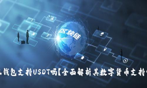 小狐钱包支持USDT吗？全面解析其数字货币支持情况