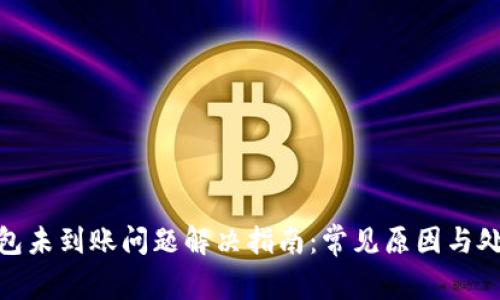 小狐钱包未到账问题解决指南：常见原因与处理步骤