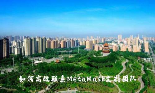 如何高效联系MetaMask支持团队
