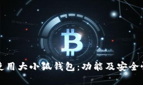 如何使用大小狐钱包：功能及安全性解析