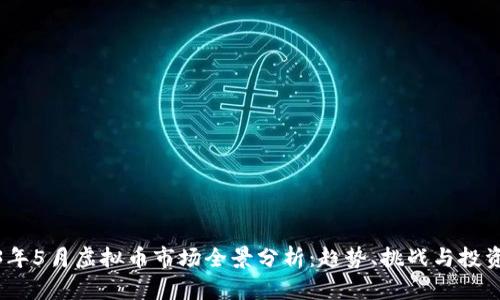 2023年5月虚拟币市场全景分析：趋势、挑战与投资机会