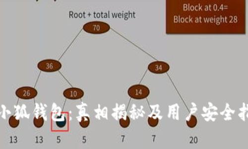: 小狐钱包：真相揭秘及用户安全指南