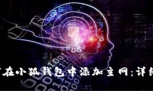  如何在小狐钱包中添加主网：详细指南