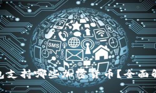 MetaMask钱包支持哪些加密货币？全面解析与使用指南