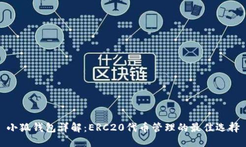 小狐钱包详解：ERC20代币管理的最佳选择