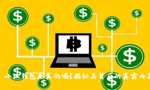 : 小狐钱包是真的吗？揭秘其背后的真实内幕