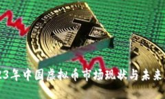 2023年中国虚拟币市场现状