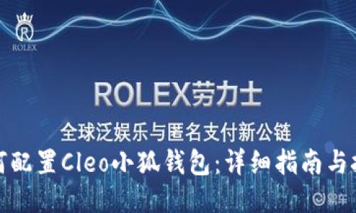 如何配置Cleo小狐钱包：详细指南与技巧