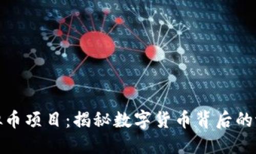 海王币虚拟币项目：揭秘数字货币背后的潜力与风险