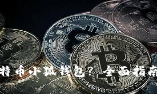 如何找到比特币小狐钱包? 全面指南与实用技巧