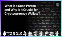 UDC虚拟币：2023年数字资产