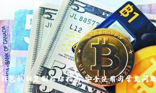 小狐钱包私钥复制粘贴指南：安全使用与常见问题解答