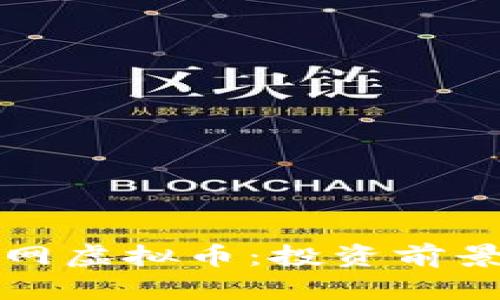 深入解析盖网虚拟币：投资前景与风险评估