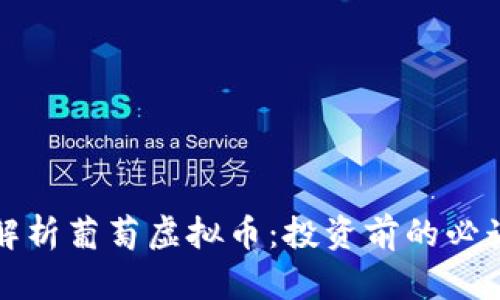 全面解析葡萄虚拟币：投资前的必读指南