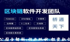 上海虚拟币公司全解析：