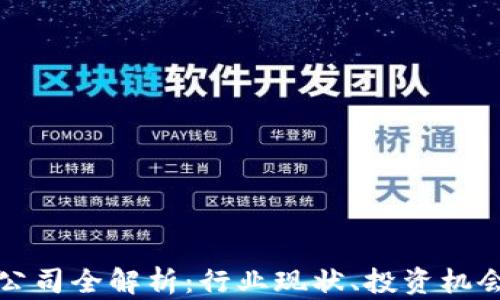 
上海虚拟币公司全解析：行业现状、投资机会与未来趋势